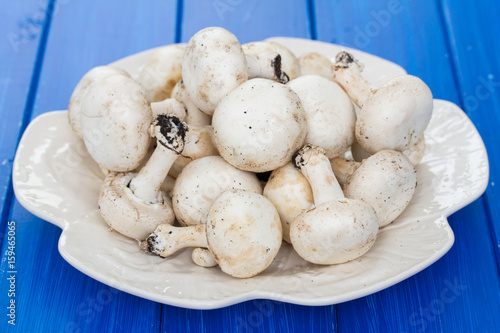 fresh mushrooms in white plate on wooden background