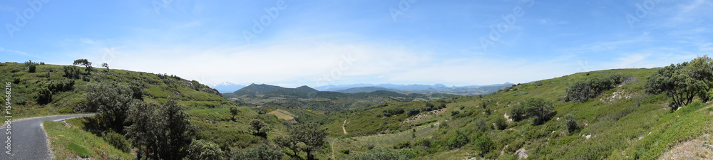 Environs de Calce, Pyrénées orientales, dans les Corbières catalanes.