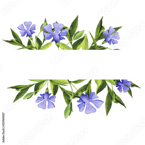 Fotografie, Obraz Blue bell flower garland painted by watercolor