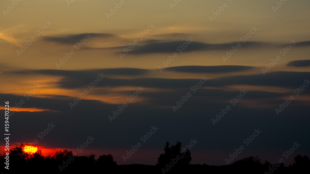 Naklejka premium Mysterious sky during sunset. Silhouette of trees. Long clouds.