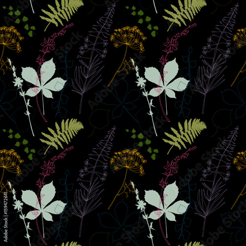 Vector floral seamless pattern  with  fireweed, chicory, dill flowers and fer...