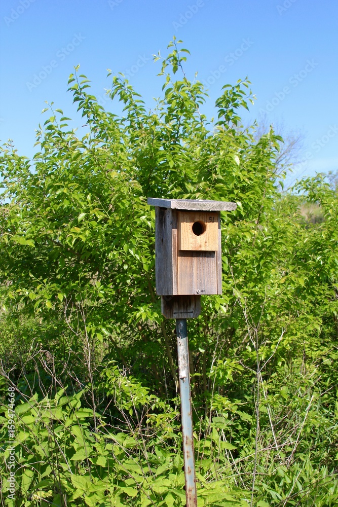 A wood birdhouse with the tree and the sky in the background. A wood birdhouse with the tree and the sky in the background.