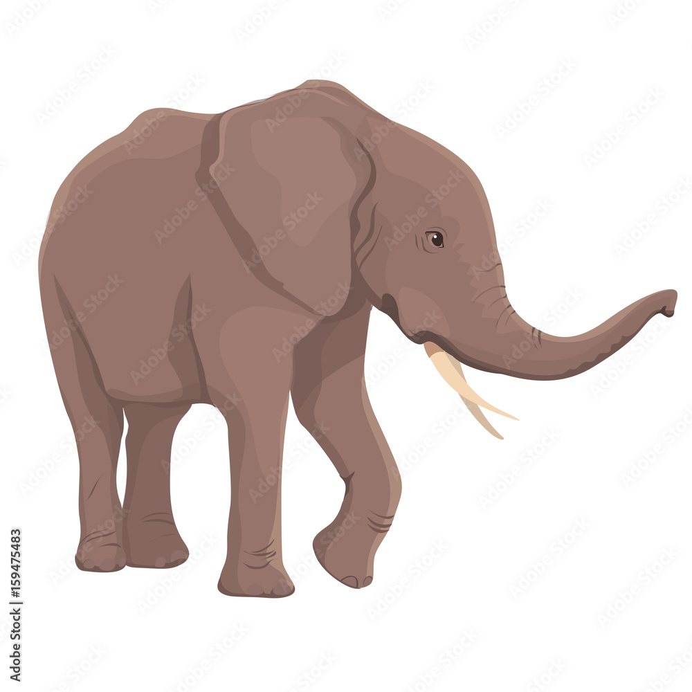 Vector Illustration Elephant Isolated