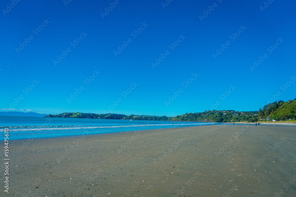 Dark Sand Beach on Waiheke Island, New Zealand with a beautiful blue sky in a sunny day