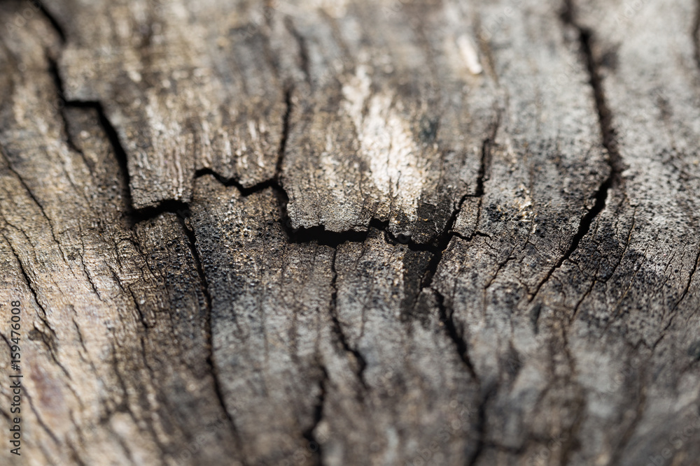 Grunge break wooden background texture Grunge break wooden background texture