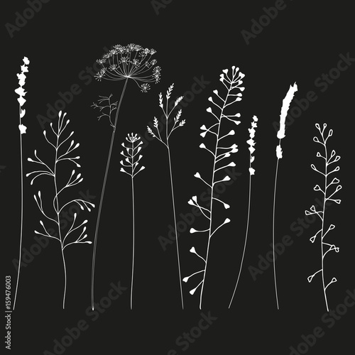 Meadow grasses, herbs and flowers silhouettes.