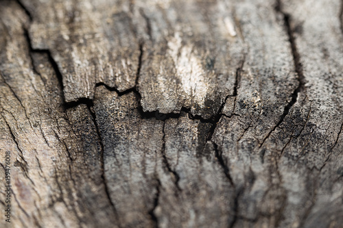 Grunge break wooden background texture