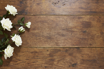 Roses on rustic wood background