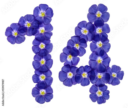 Arabic numeral 14, fourteen, from blue flowers of flax, isolated on white background