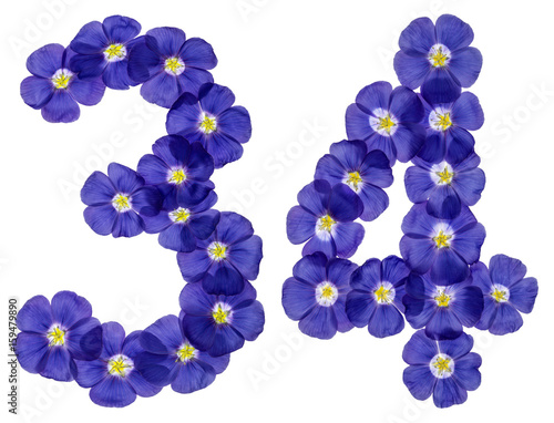 Arabic numeral 34, thirty four, from blue flowers of flax, isolated on white background