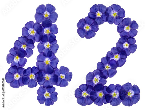 Arabic numeral 42, forty two, from blue flowers of flax, isolated on white background