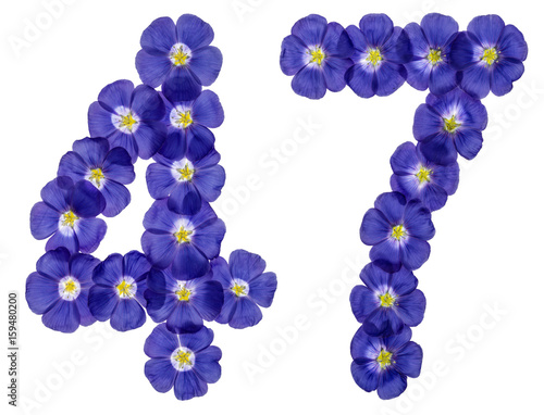 Arabic numeral 47, forty seven, from blue flowers of flax, isolated on white background