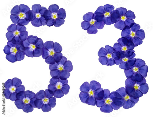 Arabic numeral 53, fifty three, from blue flowers of flax, isolated on white background