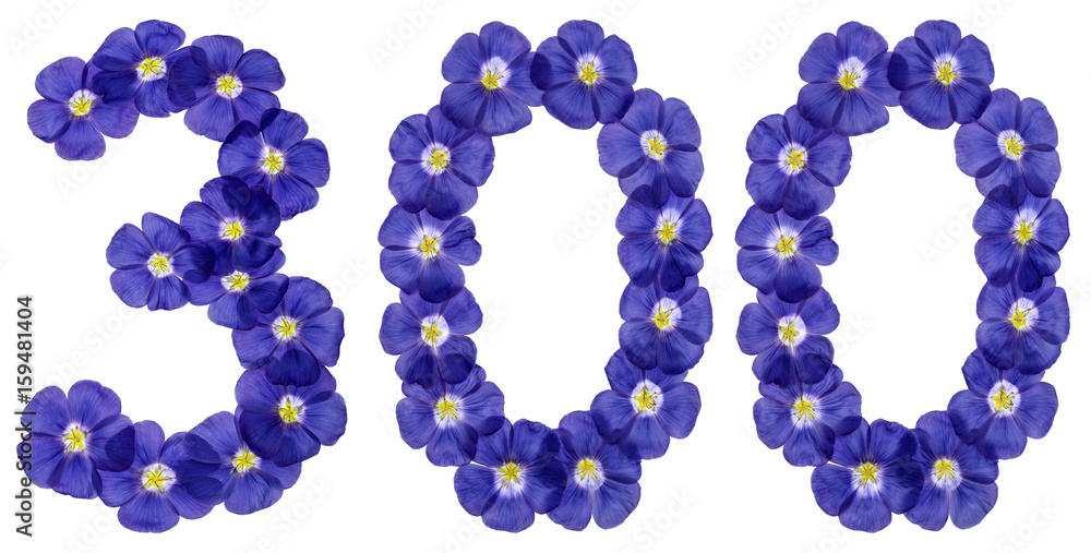 Arabic numeral 300, three hundred, from blue flowers of flax, isolated on white background
