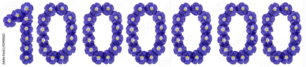 Arabic numeral 1000000, one million, from blue flowers of flax, isolated on white background Arabic numeral 1000000, one million, from blue flowers of flax, isolated on white background