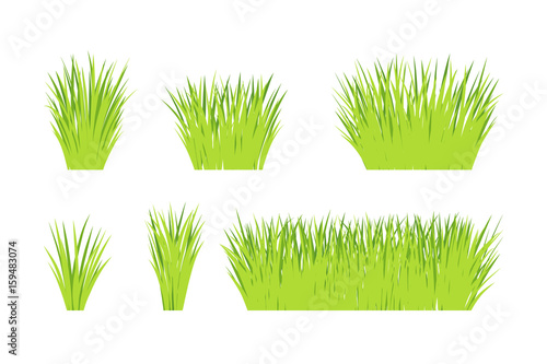 Vector green grass: natural, organic, bio, eco label and shape on white background.