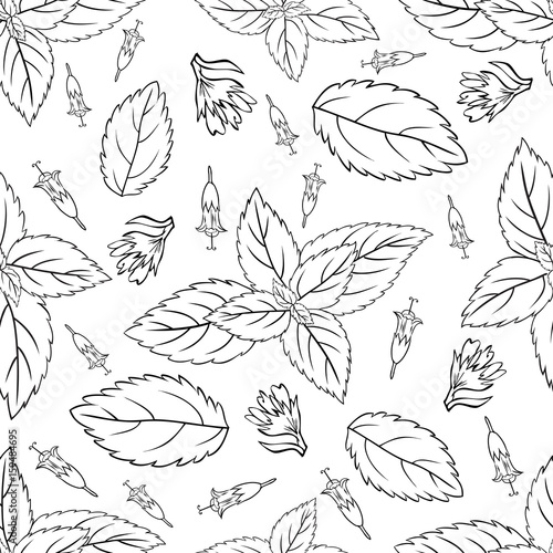 Mint leaves, peppermint buds isolated on white background, Hand drawn vector seamless patterns, spicy herbs, kitchen texture, Doodle cooking ingredient for design package tea, wallpaper, cosmetics