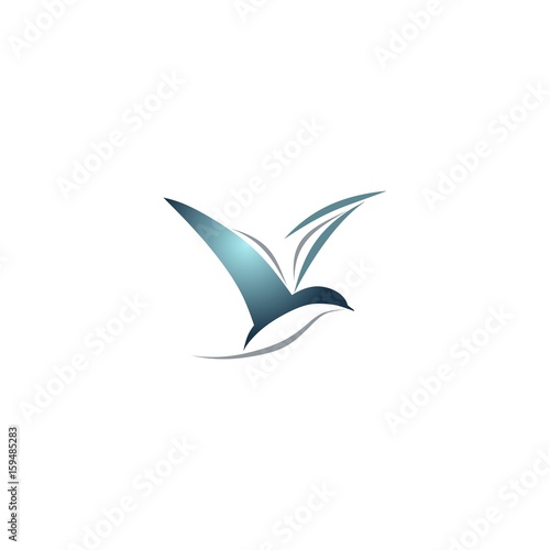 Bird and book vector illustration