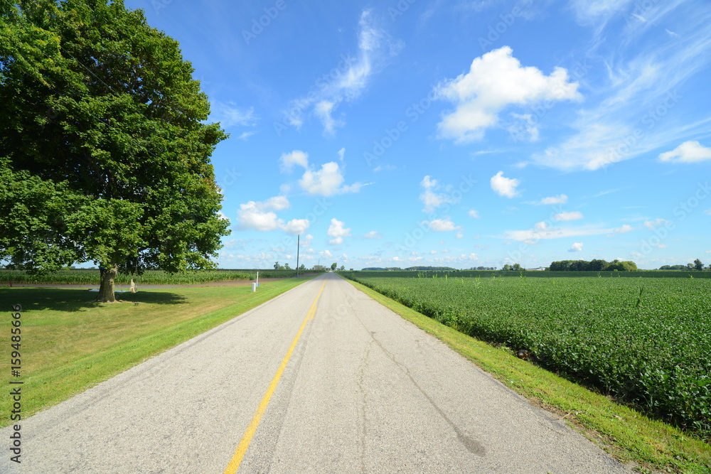 country road with double yellow line to infinity