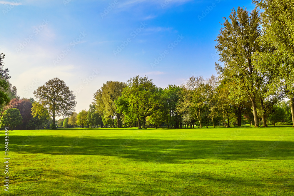 City Park Panorama Of A Beautiful Park Photos Adobe Stock