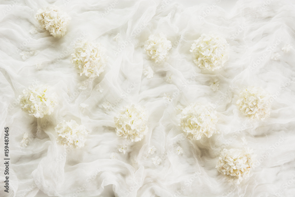 White background from textile and white flower viburnum, guelder rose. Texture, abstract pattern. White background from textile and white flower viburnum, guelder rose. Texture, abstract pattern.