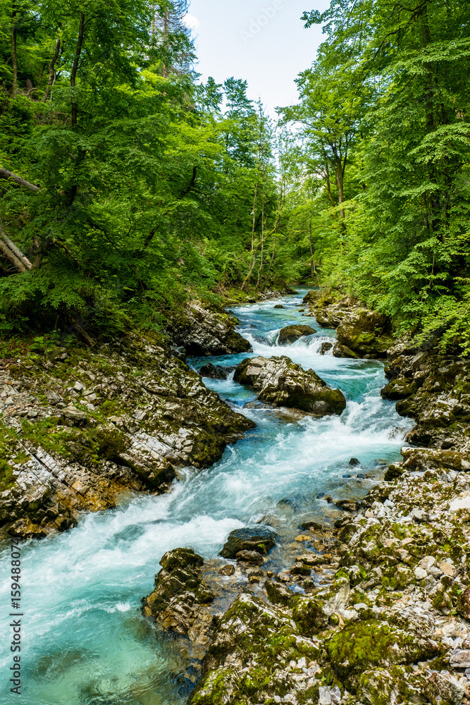 Vintgar Schlucht in der Nähe von Bled