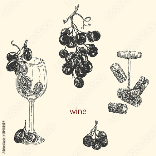 Set of wine. Corkscrew, grapes, glass. Vintage style. Vector illustration.