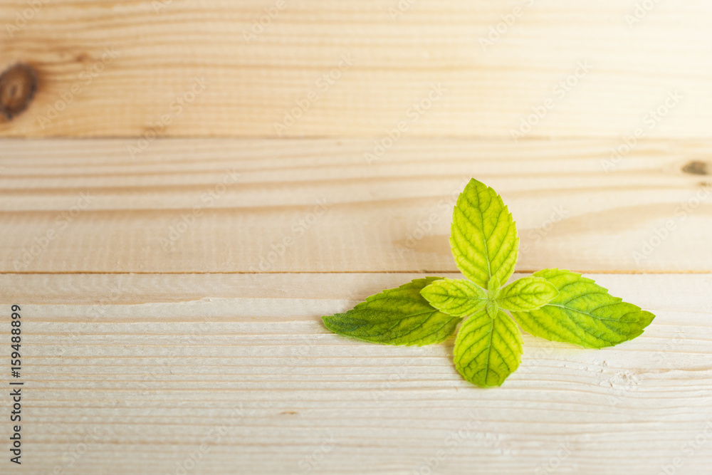 Fresh raw mint leaves on wood background with copy space Fresh raw mint leaves on wood background with copy space