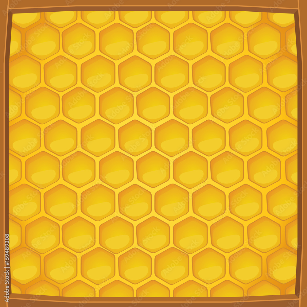 Cartoon honeycomb packed in wooden frame pattern background, Vector illustration Cartoon honeycomb packed in wooden frame pattern background, Vector illustration