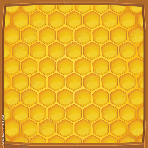 Cartoon honeycomb packed in wooden frame pattern background, Vector illustration