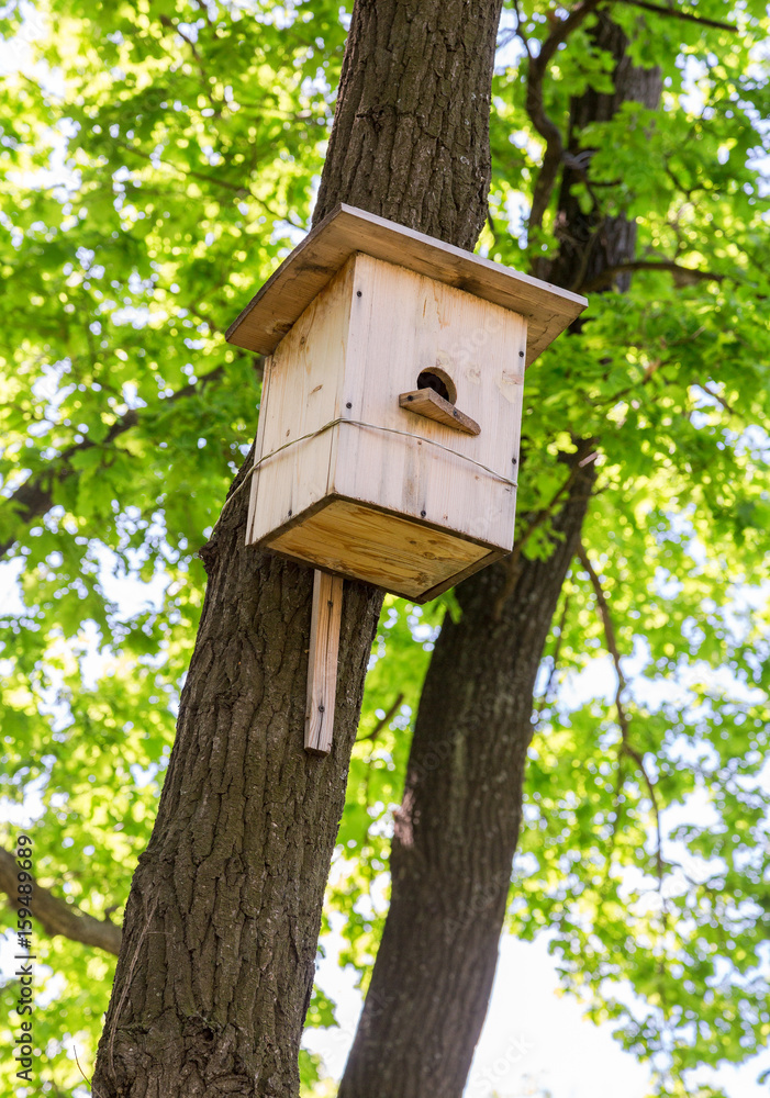Wooden birdhouse hanging from a tree with green leaves Wooden birdhouse hanging from a tree with green leaves