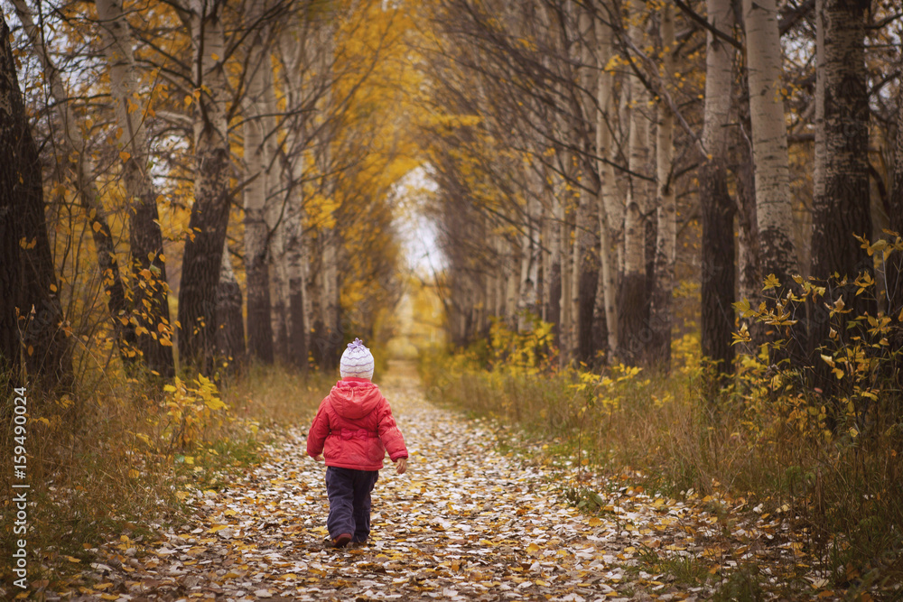 little girl in autumn Park back little girl in autumn Park back