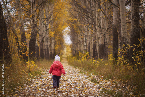little girl in autumn Park back © olgasparrow