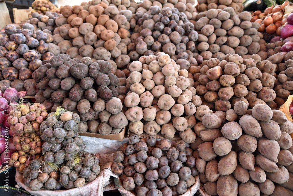 Pommes de terre des Andes au marché central à Arequipa au Pérou Pommes de terre des Andes au marché central à Arequipa au Pérou