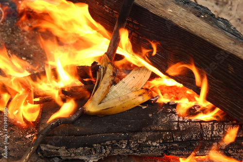 Siberia, Russia. Banana peel on a bonfire.