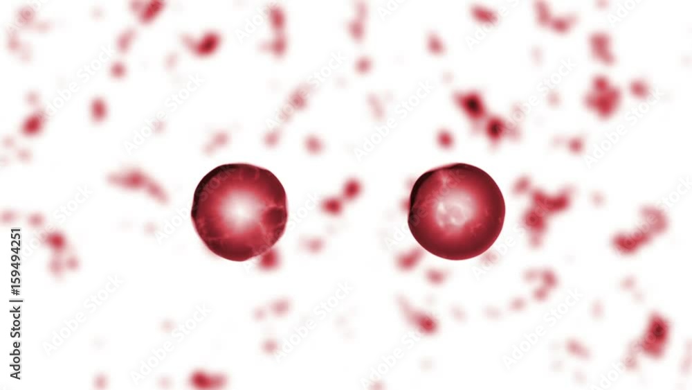 Animation of blood cell division Animation of blood cell division