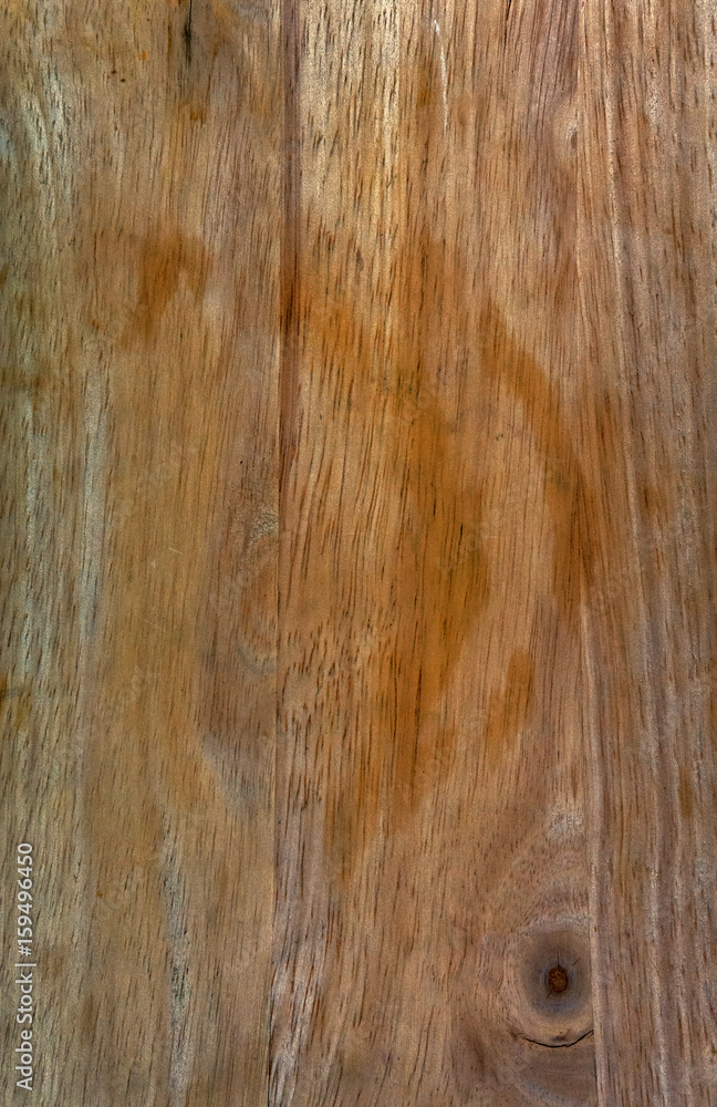 Obraz premium tree close-up texture. Wooden background. Natural texture.