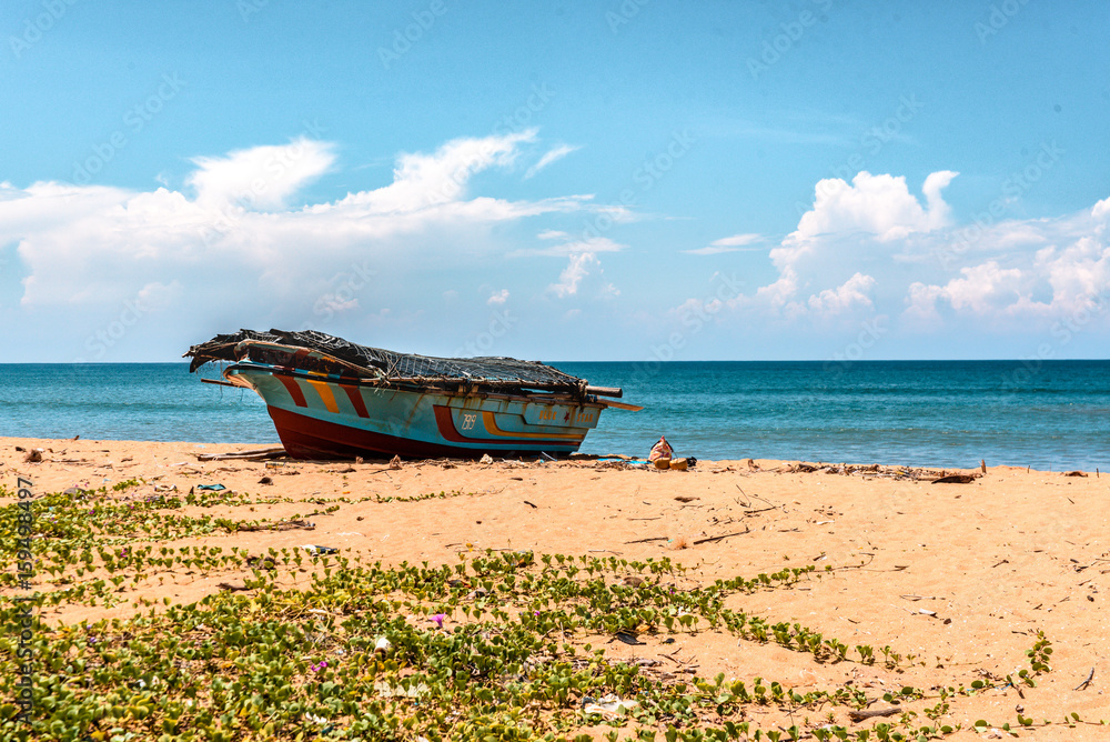 Fototapeta premium Sri Lanka