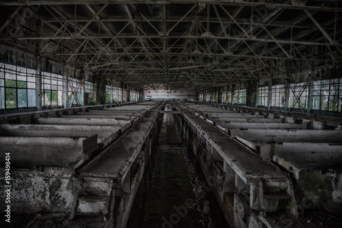 Abandoned wastewater purification treatment plants