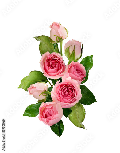 Pink rose flowers and buds bouquet © Ortis