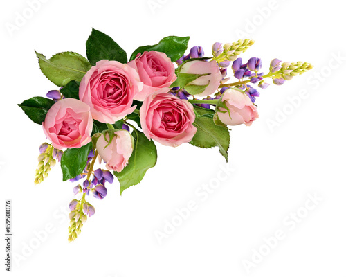 Pink rose flowers and purpl...