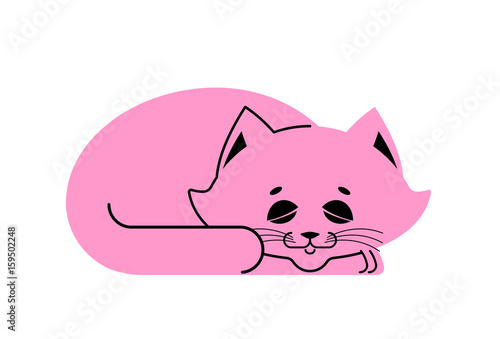 Sleeping cat pink isolated. kitten be asleep. sleep pet