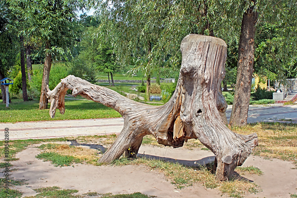 Wooden snag in the form of dinosaur in Feofaniya park, Kyiv, Ukraine Wooden snag in the form of dinosaur in Feofaniya park, Kyiv, Ukraine