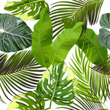 Leaves of palm tree seamless pattern