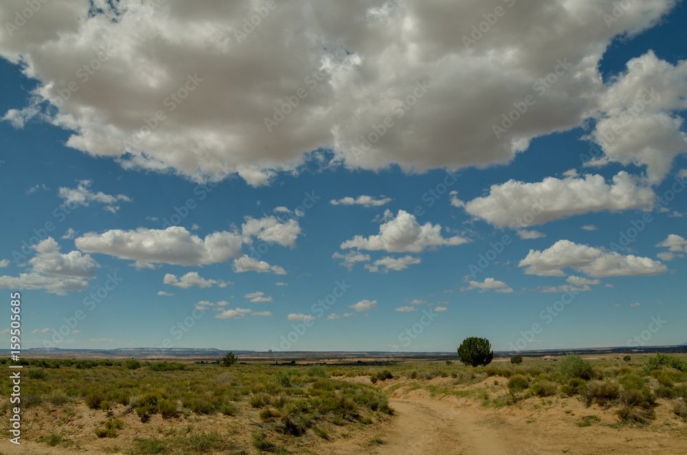 white clouds in the blue sky in the grasslands of Northern Arizona
Shonto, Arizona, United States