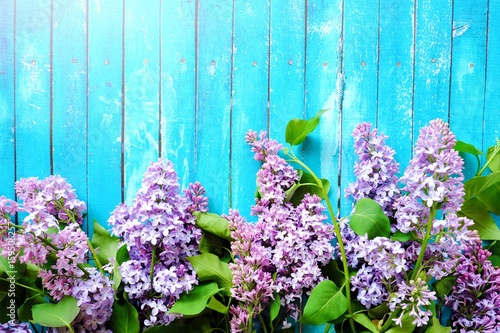 Beautiful lilac on a blue wooden background photo