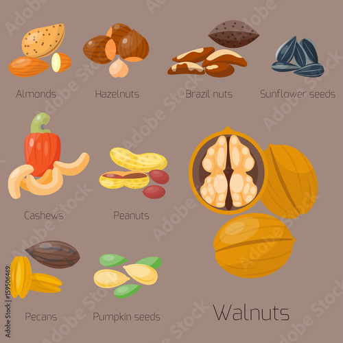 Piles of different nuts pistachio hazelnut almond peanut walnut cashew tasty ...