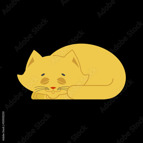 Sleeping cat yellow isolated. kitten be asleep. sleep pet
