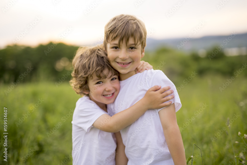 Brother play together in a green meadow Brother play together in a green meadow