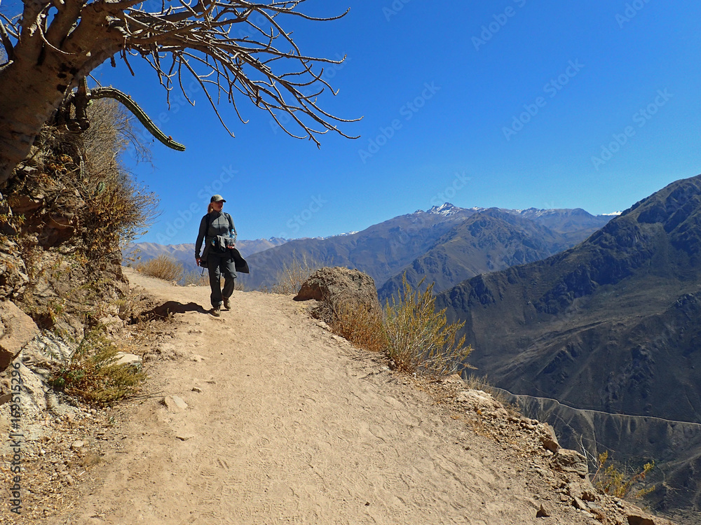 Obraz premium Hiking girl in the Colca canyon, Peru
